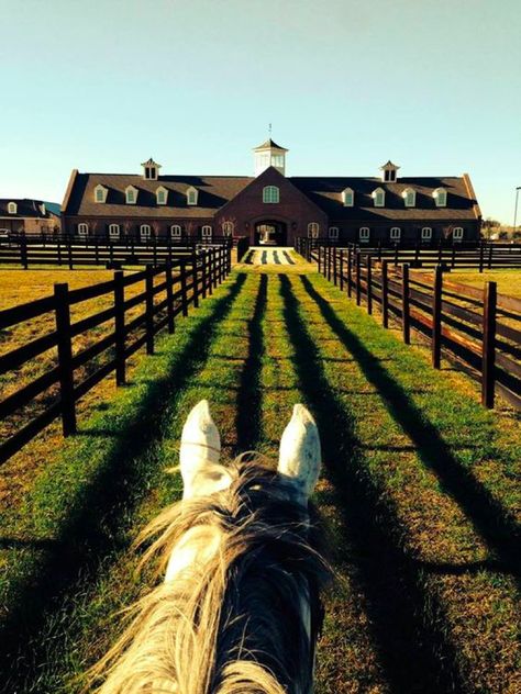 Dream Stables, Dream Horse Barns, Farm Chicken, Future Farms, Casa Country, Dream Barn, Horse Property, Barn Design, Horse Ranch