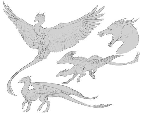 Dragon Arms Reference, Flying Dragon Reference, Two Dragons Drawing, Dragon Oc Reference, Dragon Dynamic Pose, Dragon Leg Reference, Two Legged Dragon, Dragons Drawing Reference, Armored Dragon Art