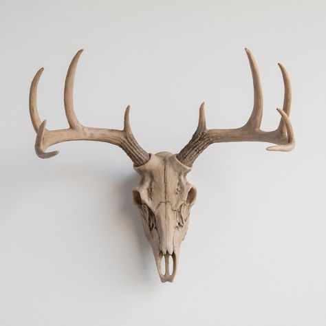 Deer Skull Reference, Deer Skull Wall Mount, Buck Skull, Deer Skull Tattoos, Faux Deer Head, Taxidermy Deer, Skull Reference, Skull Wall Decor, Mantel Ideas