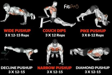 Pike Pushup, Boxing Workout Beginner, Free Weight Workout, Workouts Routines, Wake Up Workout, Workout Board, Push Workout, Bodybuilding Workouts Routines, Dumbell Workout