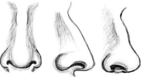 Drawing Draw Noses, Art Handouts, Nose Drawing, Homeschool Art, Art Instructions, Art How, Drawing Lessons, Irises, Pics Art