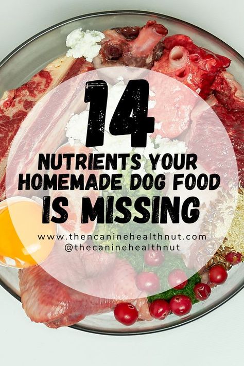 Limited Ingredient Dog Food Recipes, Diy Grain Free Dog Food, Diy Dog Food Recipe For Allergies, All Natural Dog Food Recipes How To Make, Diy Dog Food Recipes Homemade, Natural Foods For Dogs, Healthy Homemade Dog Food For Older Dogs, Nutritional Homemade Dog Food, Diy Dog Food Small Breed