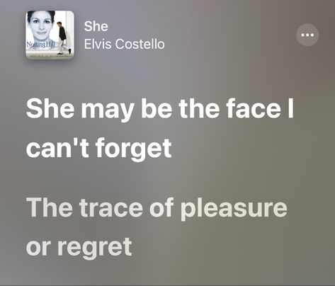 She Elvis Costello, Elvis Lyrics, Elvis Costello, Spotify Lyrics, Songs, Music, Quick Saves