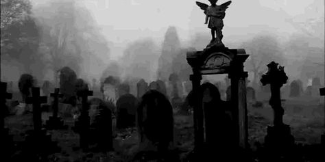 Rip To My Youth, Creepy Gif, Gothic Novel, Goth Wallpaper, Gothic Wallpaper, Banner Gif, Gothic Aesthetic, Goth Aesthetic, Aesthetic Gif