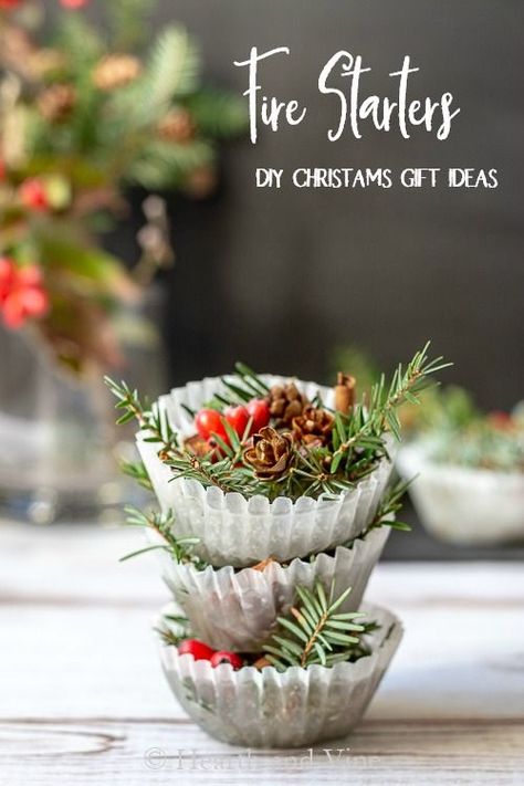 Have a blast making these fun DIY fire starters. The perfect holiday gift for all the fire lovers in your life. #HolidayGiftIdea #handmadegift #homemadefirestarter Diy Fire Starters, Homemade Fire Starters, Pinecone Fire Starters, Shabby Chic Christmas Decorations, Fire Starters Diy, Mini Pine Cones, Chic Christmas Decor, Pine Cone Christmas Tree, Cone Christmas Trees