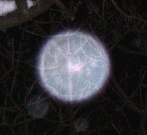 Understanding Orbs  -  Do you ever get those big ORBS or balls of white light in your PHOTOGRAPHS?  Here is a great description of what they are    -     http://wakeup-world.com/2013/05/13/understanding-orbs/ White Light Spiritual, Black Orbs Meaning, Glowing Orb Aesthetic, Orbs Spiritual, Orbs In Photos, Ghost Orbs, Glowing Orb, Paranormal Photos, The Human Eye