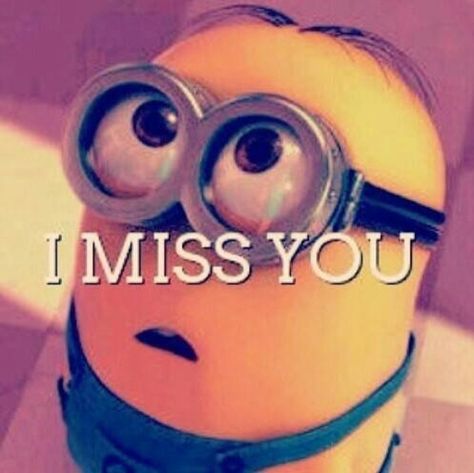 In this blog, we have 11 minion love memes that are adorable and funny at the same time. Minion Love Quotes, Quote Girl, Funny Minion Memes, Minions Love, Cute Minions, A Minion, Minions Wallpaper, I Miss You Quotes, Love Quotes Funny