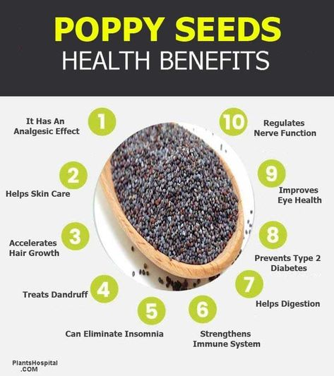 13 Amazing Health Benefits Of Poppy Seeds: Uses, Nutrition & Warnings 3 Poppy Seed Benefits, Poppy Seeds Benefits, Papaver Poppy, Seed Benefits, Flower Poppy, Seeds Benefits, Tea Health Benefits, Help Digestion, Health Knowledge