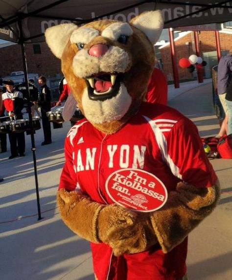 New Braunfels Canyon High School mascot, Cougar, roars for home team in New Braunfels crosstown rivalry game - Wurst Bowl - with New Braunfels HS during  Kiolbassa FNF Tailgate, Week 7, in New Braunfels, TX. Mascot Ideas, High School Mascots, Tiger Mascot, Team Mascots, Tiger Cub, Black Tigers, New Braunfels, White Tiger, School Mascot