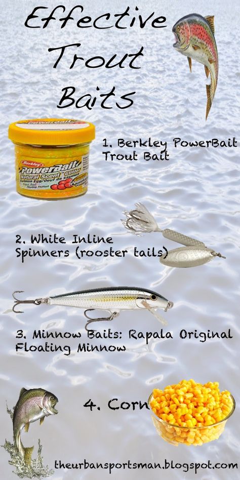 I actually haven't caught any on these. A gold Mepp's Spinner with hair (I forget the size), a garden worm with a corn kernel as a "helmet" on the hook or a pink salmon egg have produced the best results for me. Havent caught a think on a power bait. Ever. 20+ years... Lake Trout Fishing, Saltwater Fishing Lures, Trout Fishing Tips, Trout Bait, Fly Fishing Tips, Bass Fishing Tips, Fishing Techniques, Freshwater Fishing, Lake Fishing