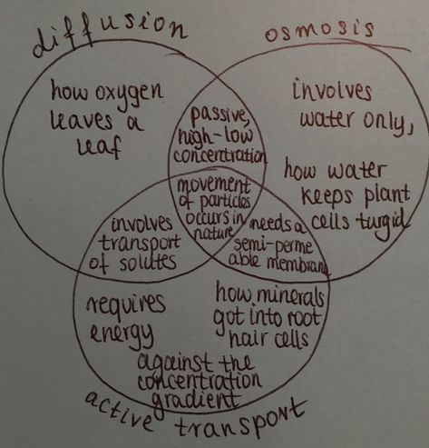 Diffusion osmosis active transport comparing Osmosis Diffusion Active Transport, Biology Notes Diffusion, Active Transport Notes, Diffusion Osmosis Active Transport, Osmosis Notes Biology, Active Transport Biology Notes, Osmosis And Diffusion Notes, Pathogens Notes, Medicine Through Time Gcse