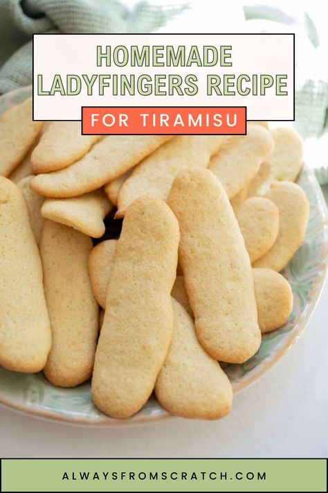 Want to make the perfect tiramisu at home? Try this homemade ladyfingers recipe! It’s an easy and foolproof way to make ladyfingers from scratch that will elevate your dessert to a whole new level. Whether you're baking for a special occasion or just craving a delicious treat, this easy ladyfingers recipe for tiramisu is a must-try. Don’t settle for store-bought when you can create the real thing in your own kitchen! Easy Lady Finger Recipe, Ladyfinger Recipe, Ladyfingers Recipe, Recipe For Tiramisu, Italian Holiday Recipes, Homemade Ladyfingers, Italian Fish Recipes, Italian Holiday Cookies, Lady Fingers Recipe