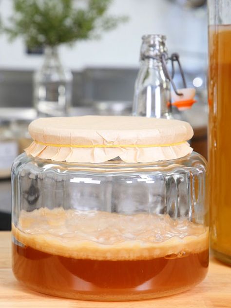 The easiest way to get a SCOBY is just to buy a kombucha starter kit online or acquire one from a friend, but I get that it isn't always possible.  Here, you will learn how to create one from the ground up. How To Grow A Scoby From Scratch, Easy Homemade Lasagna, Kombucha Recipes, Easy Cabbage Rolls, Pork Steak Recipe, Kombucha Starter, Easy Corn Casserole, Kombucha Scoby, Casserole Side Dishes