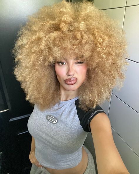 Hi 👩🏼‍🦱🪮 _ _ Blonde afro girl, blonde afro, blonde 3c curly hair, blonde fro, blonde curls, 3c curls, 4a curls Big Afro Hair, 4a Curls, 3c Curls, Curly Hair Blonde, White Afro, 3c Curly Hair, Blonde Afro, Big Afro, Ig Pics