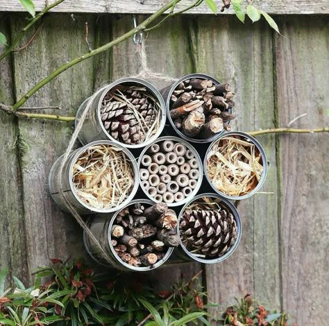 Bug Hotels, Bug House, Bench Workout, Bee Hotel, Bug Hotel, Insect Hotel, Diy Cushions, Wildlife Gardening, School Garden