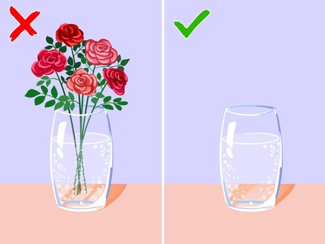 How to Make Flowers Last Longer in 6 Steps Make Flowers Last Longer, Flowers Last Longer, Make Flowers, Sources Of Heat, Shoe Storage Solutions, How To Make Fire, Flower Food, Diy Cardboard, Open Window