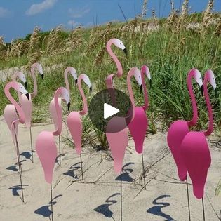 Florida Dancing Birds Garden Metal Art | 🤣Pink Whirlbird  - A whimsical and energetic bird that, Swirls in the gentle garden breeze, the perfect addition to any garden decoration. 🦩🍃 | By GeometrihFacebook Flamingo Lights, Flamingo Design, Purple Bird, Flamingo Decor, Garden Animals, Outdoor Setting, Whimsical Garden, Garden Pool, Wind Spinners