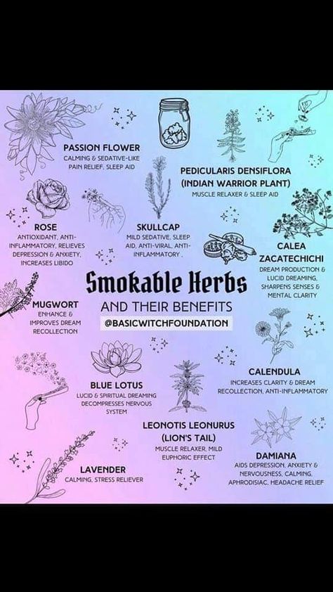 Smokeable Herbs, Smokable Herbs, Medicinal Herbs Remedies, Herbal Education, Pre Roll, Medical Herbs, Rose Lavender, Witch Spirituality, Magic Herbs