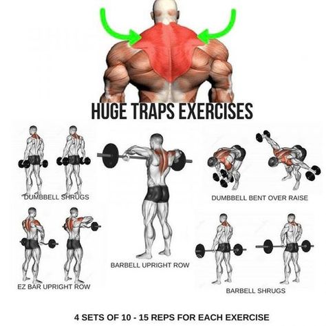 Step by Step exercise - Album on Imgur Traps Exercises, Traps Workout At Home, Shoulder And Trap Workout, Traps Workout, Latihan Dada, Gym Workout Planner, Gym Antrenmanları, Gym Workout Chart, Workout Training Programs