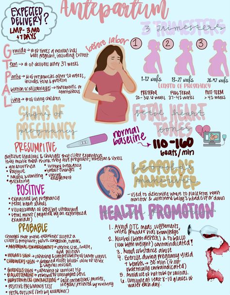 Stages Of Labor Nursing Notes, Uterine Rupture Nursing, Maternity And Pediatric Nursing, Maternity Notes Nursing, Maternity Nursing School, Nursing School Maternity, Prenatal Nursing Notes, Antepartum Nursing Notes, Midwifery Nursing Notes