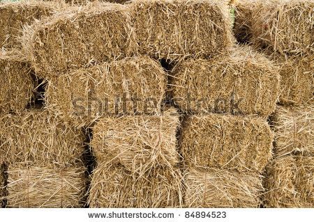 . Hay Bail, Farm Pictures, Country Churches, Paradise Lost, Farm Houses, Stock Tank, Hay Bales, Down On The Farm, Random Ideas