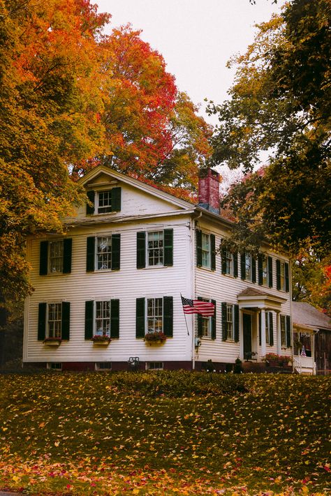 Leaf Peeping, Connecticut, New England, England, Flag, Confidence, Green, White, Instagram