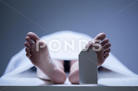 Close-up of human feet in morgue Stock Photos #AD ,#feet#human#Close#Photos Cat Design Illustration, Professional Business Cards Templates, Texture Paint, Card Templates, Business Card, Close Up, High Resolution, Royalty, Royalty Free