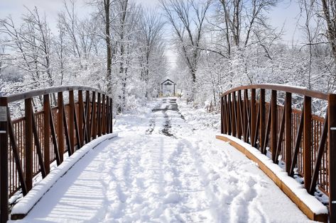 How to spend a winter weekend in Peterborough Ontario Ontario Winter, Weekend Getaways For Couples, Peterborough Ontario, Trestle Bridge, Winter Weekend, Village Inn, Food To Eat, Downhill Skiing, Visit Canada