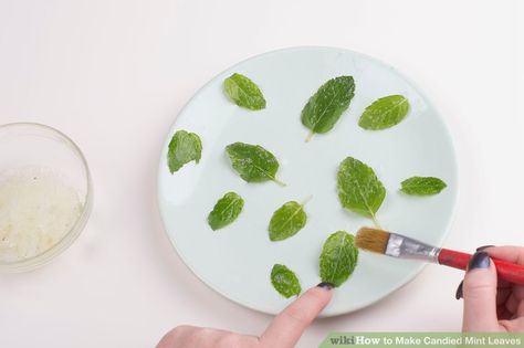 How to Make Candied Mint Leaves: 15 Steps (with Pictures) Vegan Candies, Baking Art, Parchment Paper Baking, Wedding Sweets, Yule Log, Mint Candy, Peppermint Leaves, Fresh Mint Leaves, Egg White