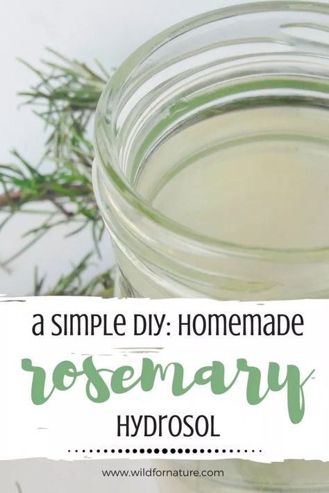 A simple DIY: How to make your own rosemary hydrosol Hydrosol Recipes, Rosemary Salve, Rosemary Hydrosol, Rosemary Water, Natural Makeup Remover, Doterra Oil, Herbs Garden, Making Essential Oils, Take Care Of Your Skin