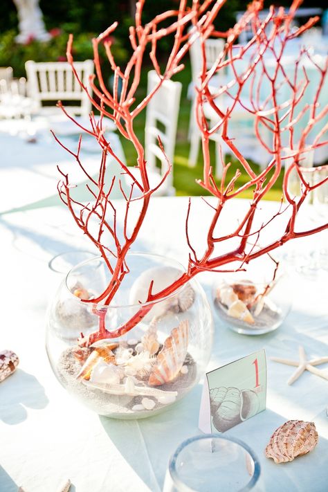 Coral Theme Party, Ocean Theme Table Decorations, Coral Display, Coral Centerpieces, Shell Centerpieces, Driftwood Centerpiece, Modern Beach Decor, Beach Coral, Ocean Theme Party