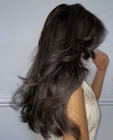 Dark Brown Hair Girl, Aesthetic Brown Hair, Brown Hair Girl, Brown Wavy Hair, Hair Inspiration Long, Aesthetic Brown, Hairstyles For Layered Hair, Hairstyle Inspiration, Long Dark Hair