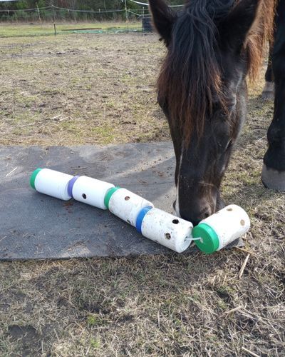 Horse Enrichment, Diy Horse Toys, Toys For Horses, Homemade Horse Treats, Horse Feeder, Horse Nutrition, Horse Training Exercises, Healthy Horses, Hay Feeder