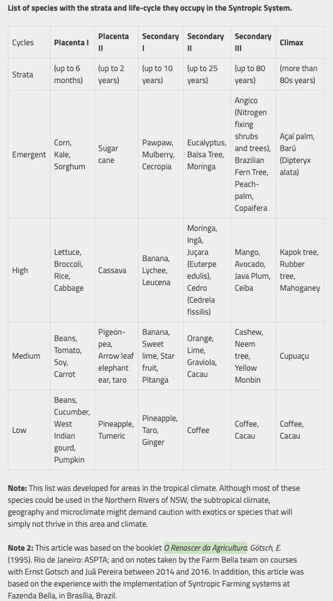 Syntropic Agroforestry Resources (in English) Syntropic Agroforestry, Ecological Succession, Food Forest Garden, Natural Farming, Food Forest, Forest Garden, Instagram Life, Mountain House, Guide Book