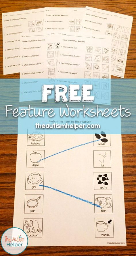 Free Feature Worksheets Feature Function Class Activities, Special Education Assessments, Emotional Support Classroom, Writing Checks, Life Skills Classroom, Speech Therapy Materials, First Grade Activities, Foundational Skills, Skills Activities