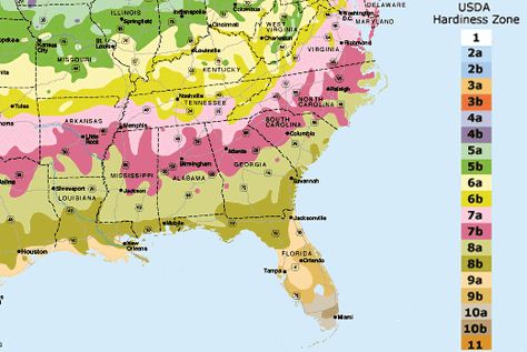 National Gardening Association - what gardening Zone are you in? Good website to find out. Gardening Zone Map, Planting Zones, Planting Schedule, Plant Hardiness Zone Map, Gardening Zones, Plant Zones, Vegetable Garden Design, Buy Plants, Nail Swag