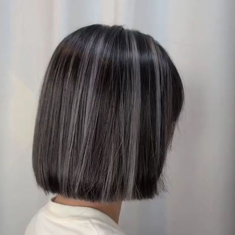 Rambut Brunette, Korean Hair Color, Dip Dye Hair, Grey Highlights, Hair Color Underneath, Hair Color Streaks, Hair Streaks, Asian Short Hair, Blending Gray Hair