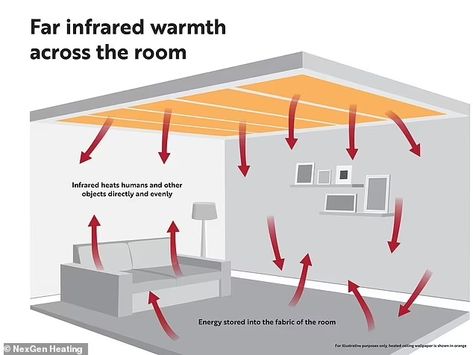 Electric wallpaper trialled as alternative to central... | Daily Mail Online Electric Wallpaper, Futuristic Decor, Scottish Homes, Tasmanian Tiger, Live On Air, Signs Of Life, Canned Heat, Willy Wonka, Central Heating