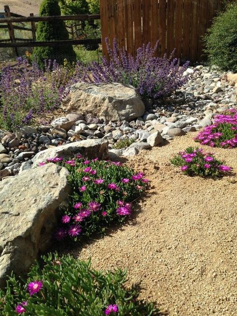 Desert Landscaping Backyard, Xeriscape Front Yard, High Desert Landscaping, Desert Backyard, Xeriscape Landscaping, Northern Nevada, Drought Tolerant Garden, Dry Garden, Low Maintenance Landscaping