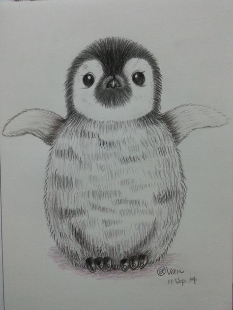 Easy Pencil Drawings, Baby Cartoon Drawing, Cool Drawing, Penguin Drawing, Easy Animal Drawings, Pencil Drawings Of Animals, Simple Sketch, Animal Drawings Sketches, Drawing Eyes