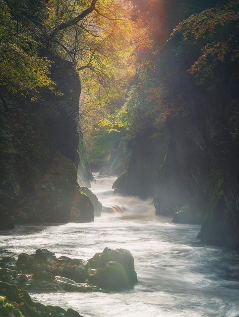 Hiraeth Gogledd Cymru-The Official North Wales Nostalgia Community | The Fairy Glen, Betws y Coed | Facebook Fairy Glen, Adventure Photos, North Wales, The Fairy, World Travel, Amazing Destinations, Wyoming, Wales, Travel