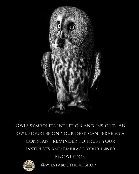 🌟🐾 **Discover Your Animal Spirit Guide!** 🐾🌟 Are you ready to connect with the powerful energy of animal spirit guides? 🦋✨ Each animal carries unique meanings and lessons that can enhance our lives. Swipe through our carousel to learn about some popular spirit animals and how you can incorporate their essence into your home decor! 🏡💖 Bear Symbol of strength and courage, the Bear encourages us to tap into our inner power. 🐻💪 Infuse your space with bear-themed decor— to remind you to stand ta... Bear Symbolism, Animal That Represents Strength, Otter Gifts, Dolphin Gifts, Animal Spirit Guide, Lion Gifts, Tiger Gifts, Shark Gifts, Animal Spirit Guides