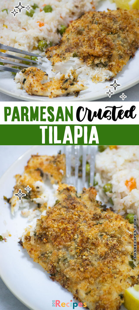 With its very bland flavor, Tilapia usually needs other components to enhance the taste a little bit. The breading on this parmesan-crusted tilapia recipe is to-die-for, it calls for a mix of italian seasoning, parmesan cheese, garlic powder, and freshly minced parsley. I highly recommend you take a swing at this parmesan tilapia recipe! Baked Parmesan Tilapia, Breaded Tilapia, Healthy Tilapia, Tilapia Recipes Healthy, Tilapia Recipes Easy, Baked Tilapia Recipes, Parmesan Crusted Tilapia, Tilapia Recipe, Crusted Tilapia