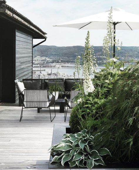 https://ombiaombia.wordpress.com/2020/08/29/outdoor-206/ Flower Gardening Ideas, Nordic Garden, Black Garden, Flower Gardening, Love Garden, The Balcony, White Gardens, Shade Plants, Terrace Garden