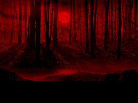 Red Aesthetic Grunge, Dark Red Wallpaper, Catty Noir, Blood Moon, Photo Wall Collage, Red Wallpaper, Blood Red, Red Aesthetic, Aesthetic Grunge