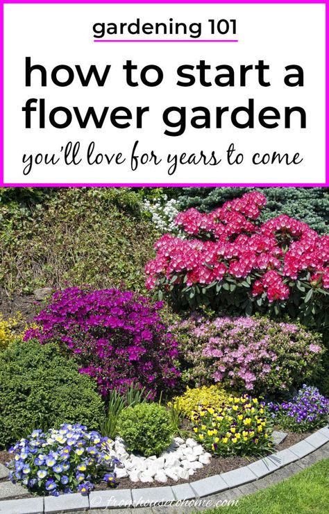 Garden Ideas For Beginners, Flower Garden Layouts, Flower Garden Ideas, Backyard Flowers Garden, Start A Garden, Flower Garden Plans, Garden Flower Beds, Perennial Shrubs, Gardening 101