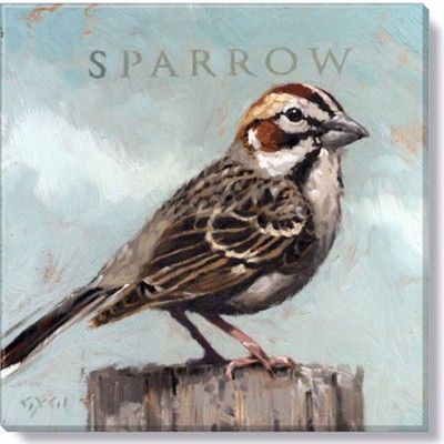 Darren Gygi, Sparrow Art, Baby Nurseries, Sparrow Bird, Affordable Artwork, Illustrated Art, Bird Canvas, Sparrows, Watercolor Bird