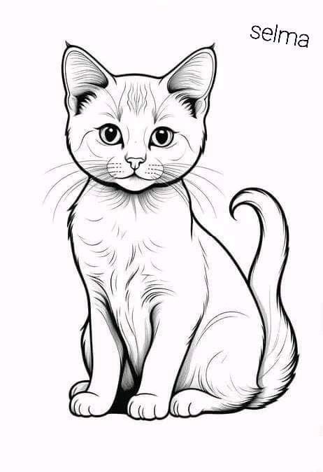 Whimsical Cat Watercolor, Cat Drawing Poses, Cat Drawing Anatomy, Drawing Base F2u, Outline Cat Tattoo, Cat Drawing Base, Cat Drawing Aesthetic, Cat Drawing Black And White, Drawing Ideas Cat