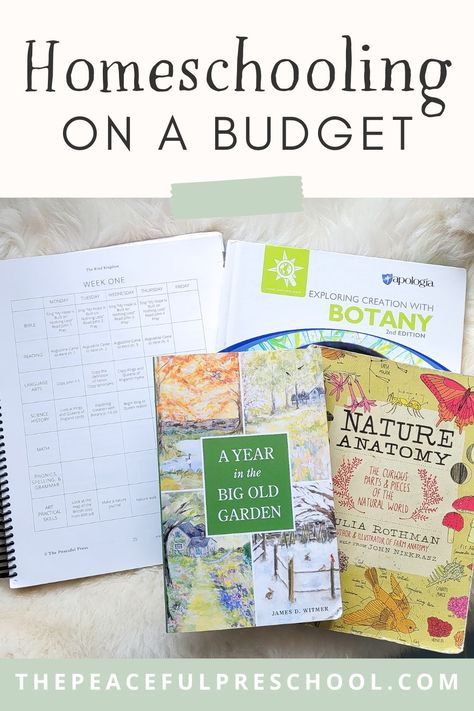 Are you curious about how to fit homeschooling in your finances? Homeschooling can be very budget friendly! Check out these 6 simple strategies to help plan your homeschool year within your budget. You will also find a free sample of our most popular resources! For more affordable homeschool resources, visit ThePeacefulPress.Shop. Homeschool On A Budget, Homeschool Units, Homeschooling Classroom, Trouble Makers, Charlotte Mason Homeschool, Creative Lesson Plans, Toddler Homeschool, Homeschool Books, Montessori Homeschool