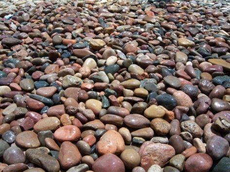 Lava Rock Landscape, Decorative Rock Landscaping, Black River Rock, Rock Mulch, Garden Front Of House, Landscaping Rock, Tattoo Plant, Rock Bed, Gravel Landscaping